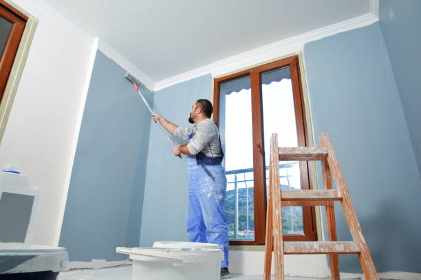 Reliable Spring Mount, PA Mold Removal Solutions